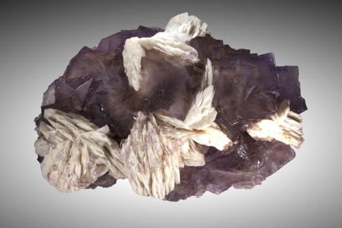 Fluorita, Barita<br />La Cabaña, Valdelmar, zona minera de Berbes, Berbes, Ribadesella, Comarca Oriente, Principado de Asturias (Asturias), España<br />20x11cm, cristales hasta 5cm<br /> (Autor: Raul Vancouver)