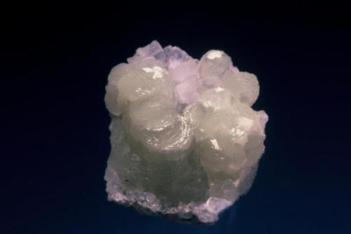 Calcite on Prehnite from Prospect Park, Passaic Co., New Jersey formerly in the Neal Yedlin coll. Miniature specimen. (Author: Singingstone48)
