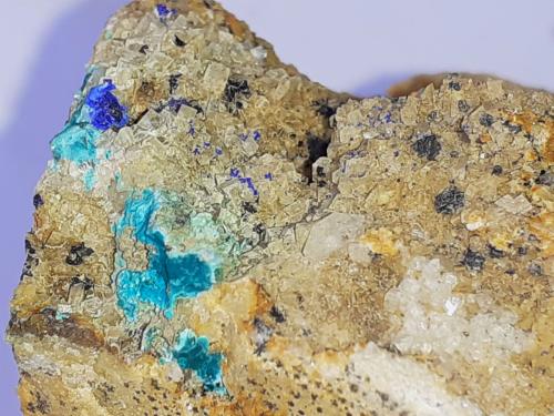 Azurite, Malachite, Quartz, Dolomite<br />Ringenwechsel Mining District, Troi, District Schwaz, Inn Valley, North Tyrol, Tyrol/Tirol, Austria<br />FoV 3 x 2 cm<br /> (Author: Volkmar Stingl)