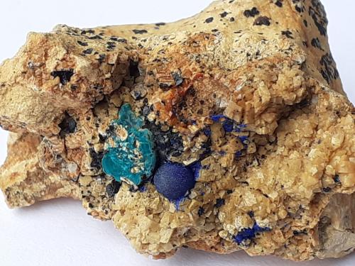 Azurite, Malachite, Dolomite<br />Ringenwechsel Mining District, Troi, District Schwaz, Inn Valley, North Tyrol, Tyrol/Tirol, Austria<br />3 x 2,5 cm<br /> (Author: Volkmar Stingl)