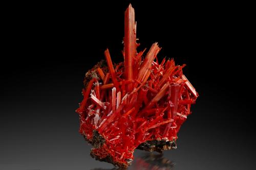 Crocoite<br />Mina Adelaide, Campo minero Dundas, Distrito Zeehan, Consejo Costa Oeste, Tasmania, Australia<br />14 x 14 x 18 cm / main crystal: 11.3 cm<br /> (Author: MIM Museum)