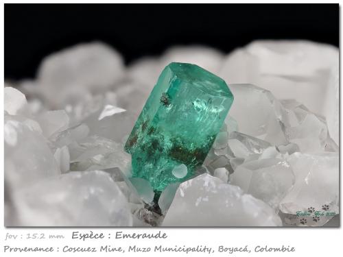 Beryl (variety emerald)<br />Coscuez mining district, Municipio San Pablo de Borbur, Western Emerald Belt, Boyacá Department, Colombia<br />fov 15.2 mm<br /> (Author: ploum)
