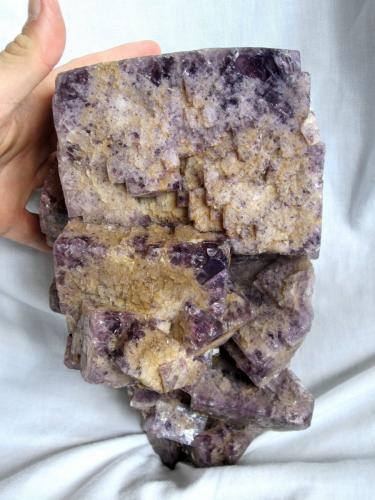 Fluorite, chalcopyrite<br />Weardale, North Pennines Orefield, County Durham, England / United Kingdom<br />Specimen size 24 x 16 cm, largest crystal 11 cm<br /> (Author: Tobi)