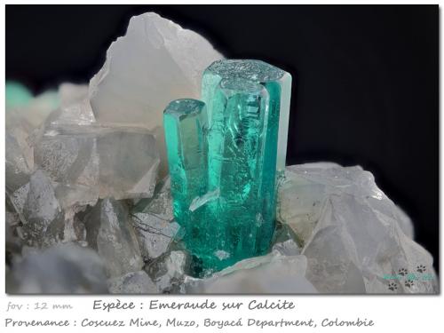 Beryl (variety emerald)<br />Coscuez mining district, Municipio San Pablo de Borbur, Western Emerald Belt, Boyacá Department, Colombia<br />fov 12 mm<br /> (Author: ploum)