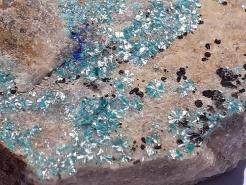 Theisite, Azurite<br />Gratlspitze, Thierbach, Wildschönau, Kufstein District, Inn Valley, North Tyrol, Tyrol/Tirol, Austria<br />5,5 x 3,5 cm<br /> (Author: Volkmar Stingl)