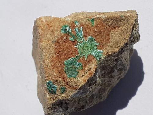 Tyrolite<br />Gratlspitze, Thierbach, Wildschönau, Kufstein District, Inn Valley, North Tyrol, Tyrol/Tirol, Austria<br />1,5 x 1,5 cm<br /> (Author: Volkmar Stingl)