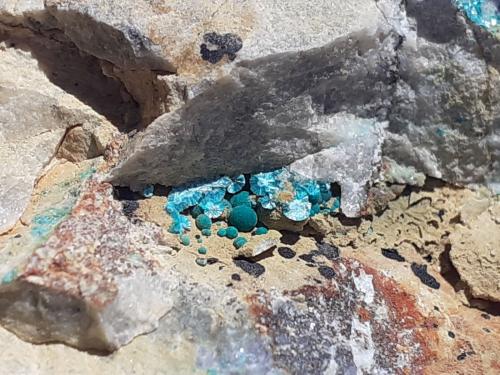 Theisite<br />Gratlspitze, Thierbach, Wildschönau, Kufstein District, Inn Valley, North Tyrol, Tyrol/Tirol, Austria<br />6 x 4,5 cm<br /> (Author: Volkmar Stingl)
