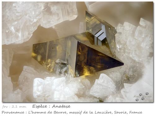 Anatase<br />L'Homme de Beurre, Macizo La Lauzière, Saint-Jean-de-Maurienne, Saboya, Auvergne-Rhône-Alpes, Francia<br />fov 2.1 mm<br /> (Author: ploum)