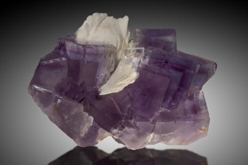 Fluorita, Barita<br />La Cabaña, Valdelmar, zona minera de Berbes, Berbes, Ribadesella, Comarca Oriente, Principado de Asturias (Asturias), España<br />11x8cm, cristales de hasta 3cm de arista<br /> (Autor: Raul Vancouver)