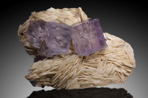 Fluorita, Barita<br />La Cabaña, Valdelmar, zona minera de Berbes, Berbes, Ribadesella, Comarca Oriente, Principado de Asturias (Asturias), España<br />15cm, cristales hasta 4cm<br /> (Autor: Raul Vancouver)