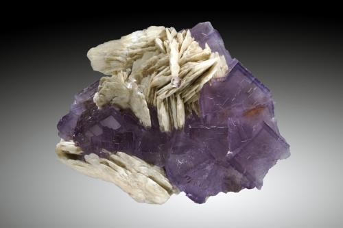 Fluorita, Barita<br />La Cabaña, zona minera de Berbes, Valdelmar, Berbes, Ribadesella, Comarca Oriente, Principado de Asturias (Asturias), España<br />15cm, cristales hasta 3cm de arista<br /> (Autor: Raul Vancouver)