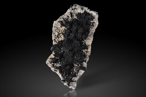 Schorl<br />Mina Guadalupana, Cerro de Chavito, Santa Cruz, Municipio Santa Cruz, Sonora, México<br />12 x 25.5 x 6.5 cm / main crystal: 3 cm<br /> (Author: MIM Museum)