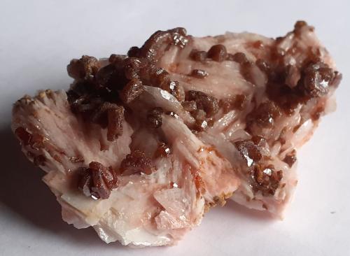 Vanadinite, Barite<br />Mibladen (distrito minero Mibladen), Midelt, Provincia Midelt, Región Drâa-Tafilalet, Marruecos<br />6 x 3,5 cm<br /> (Author: Volkmar Stingl)