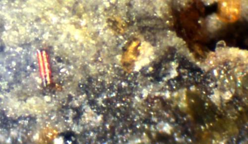 Rhonita<br />Nickenicher Weinberg (Nickenicher Sattelberg), Nickenich, Pellenz, Mayen-Koblenz, Eifel, Renania-Palatinado/Rheinland-Pfalz, Alemania<br />< 1 mm<br /> (Autor: José Luis Zamora)