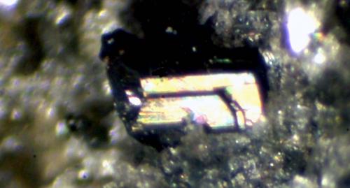 Zirconolita<br />Le Novelle Quarry, Ercolano, Monte Somma, Somma-Vesuvius Complex, Metropolitan City of Naples, Campania, Italy<br />< 1 mm<br /> (Autor: José Luis Zamora)