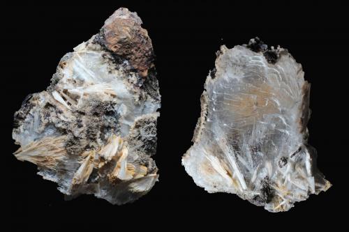 Yeso<br />Mina Quien Tal Pensara (Mina Rica), nivel 3, El Pilar de Jaravía, Pulpí, Comarca Levante Almeriense, Almería, Andalusia, Spain<br />57 x 41 x 25 mm.<br /> (Autor: José Luis Zamora)