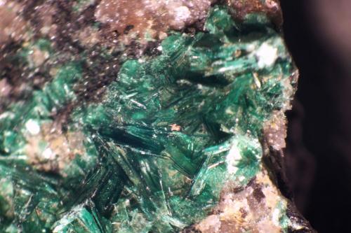 Torbernita<br />Musonoi Mine, Kolwezi, Kolwezi District, Lualaba, Katanga Copper Crescent, Katanga (Shaba), Democratic Republic of the Congo (Zaire)<br />< 1 mm<br /> (Autor: José Luis Zamora)