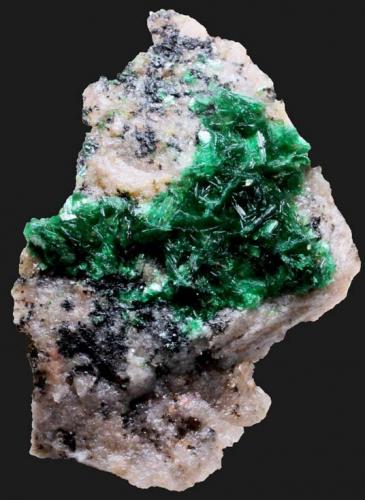 Torbernita<br />Musonoi Mine, Kolwezi, Kolwezi District, Lualaba, Katanga Copper Crescent, Katanga (Shaba), Democratic Republic of the Congo (Zaire)<br />Micro<br /> (Autor: José Luis Zamora)