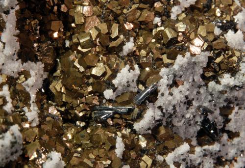 Hutchinsonite, Pyrite, Quartz<br />Mina Quiruvilca (Mina La Libertad), Distrito Quiruvilca, Provincia Santiago de Chuco, Departamento La Libertad, Perú<br />9.5 x 8.8 x 2.6 cm<br /> (Author: Michael Shaw)