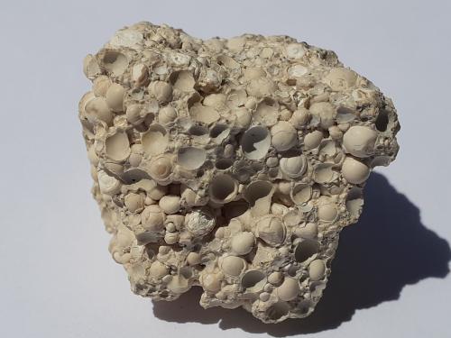 Aragonite (variety Pisolite)<br />Loket (Elbogen), Sokolov District, Karlovy Vary Region, Bohemia, Czech Republic<br />3 x 3 cm<br /> (Author: Volkmar Stingl)