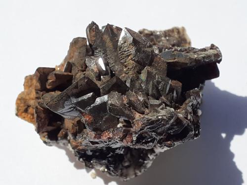 Descloizite<br />Berg Aukas, Grootfontein District, Otjozondjupa Region, Namibia<br />5 x 4,5 cm<br /> (Author: Volkmar Stingl)