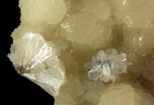 Stilbite (Subgroup)<br />Dyer Quarry, Birdsboro, Berks County, Pennsylvania, USA<br />6.0 x 4.0 cm<br /> (Author: Michael Shaw)