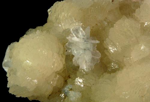 Stilbite (Subgroup)<br />Dyer Quarry, Birdsboro, Berks County, Pennsylvania, USA<br />6.0 x 4.0 cm<br /> (Author: Michael Shaw)