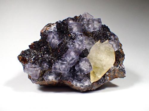 Fluorite, Sphalerite, Calcite<br />Elmwood Mine, Carthage, Central Tennessee Ba-F-Pb-Zn District, Smith County, Tennessee, USA<br />145 mm x 115 mm<br /> (Author: Don Lum)
