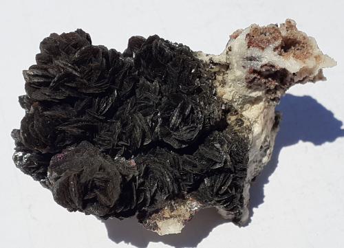 Descloizite<br />Berg Aukas, Grootfontein District, Otjozondjupa Region, Namibia<br />6,5 x 4 cm<br /> (Author: Volkmar Stingl)