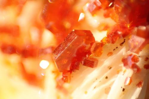 Vanadinite and Baryte<br />Mibladen (distrito minero Mibladen), Midelt, Provincia Midelt, Región Drâa-Tafilalet, Marruecos<br />FOV 11mm<br /> (Author: Firmo Espinar)