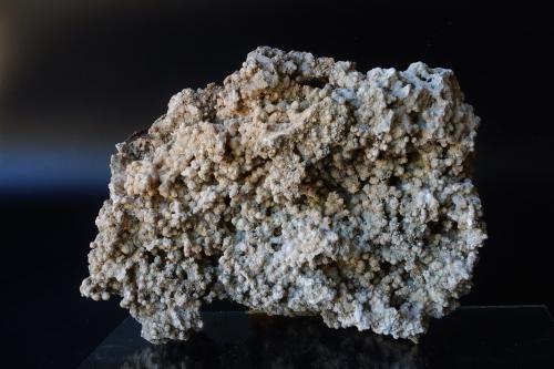 roca caliza<br />Balearic Islands / Illes Balears, Spain<br />30 cm de largo aproximadamente<br /> (Autor: martí canyelles)