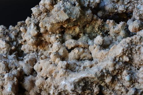 roca sedimentaria<br />Balearic Islands / Illes Balears, Spain<br />30 cm de largo aproximadamente<br /> (Autor: martí canyelles)