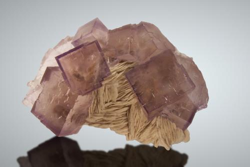 Fluorita, Barita<br />La Cabaña, Valdelmar, zona minera de Berbes, Berbes, Ribadesella, Comarca Oriente, Principado de Asturias (Asturias), España<br />13x9 cm, cristales de hasta 4 cm<br /> (Autor: Raul Vancouver)