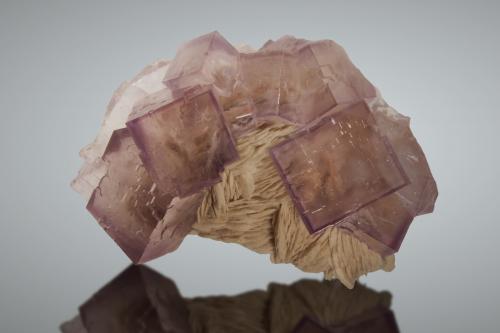 Fluorita, Barita<br />La Cabaña, Valdelmar, zona minera de Berbes, Berbes, Ribadesella, Comarca Oriente, Principado de Asturias (Asturias), España<br />13x9 cm, cristales de hasta 4cm<br /> (Autor: Raul Vancouver)