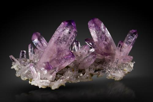 Quartz (variety amethyst)<br />Piedra Parada (Las Vigas), Municipio Tatatila, Veracruz (Veracruz de Ignacio de la Llave), Mexico<br />12 x 12 x 5.5 cm / main crystal: 5.7 cm<br /> (Author: MIM Museum)