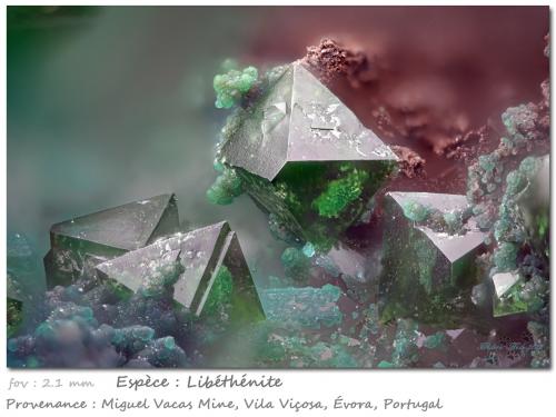 Libethenite, Turquoise<br />Miguel Vacas Mine, Pardais and Conceição Parish, Vila Viçosa, Évora District, Alentejo Central Province, Alentejo Region, Portugal<br />fov 2.1 mm<br /> (Author: ploum)