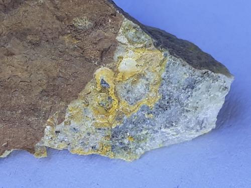 Opal (variety forcherite)<br />Breitenau, Hochlantsch, Bruck-Mürzzuschlag District, Styria/Steiermark, Austria<br />3,5 x 2 cm<br /> (Author: Volkmar Stingl)