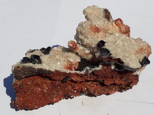 Descloizite<br />Berg Aukas, Grootfontein District, Otjozondjupa Region, Namibia<br />6 x 3,5 cm<br /> (Author: Volkmar Stingl)