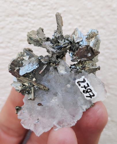 Marcasita, Cuarzo<br />Bou Nahas Mine, Oumjrane mining area, Alnif Commune, Tinghir Province, Drâa-Tafilalet Region, Morocco<br />4,7 x 4,0 x 3,0 cm<br /> (Autor: carles)