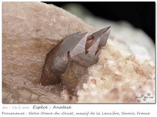 Anatase<br />Notre-Dame-du-Cruet, Macizo La Lauzière, Saint-Jean-de-Maurienne, Saboya, Auvergne-Rhône-Alpes, Francia<br />fov 16.2 mm<br /> (Author: ploum)