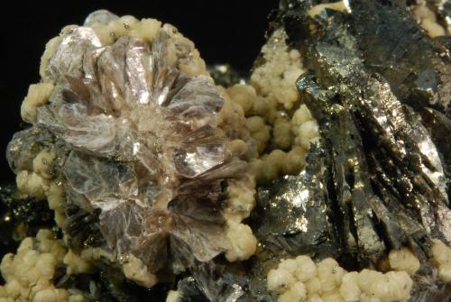 Muscovite, Siderite, Arsenopyrite, Marcasite<br /><br />7.3 × 6.9 × 3.8 cm<br /> (Author: Michael Shaw)