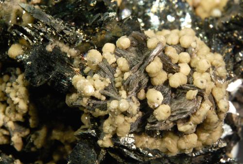 SIderite, Muscovite, Arsenopyrite, Marcasite<br />Minas da Panasqueira, nivel 0, Aldeia de São Francisco de Assis, Covilhã, Castelo Branco, Cova da Beira, Centro, Portugal<br />7.3 × 6.9 × 3.8 cm<br /> (Author: Michael Shaw)