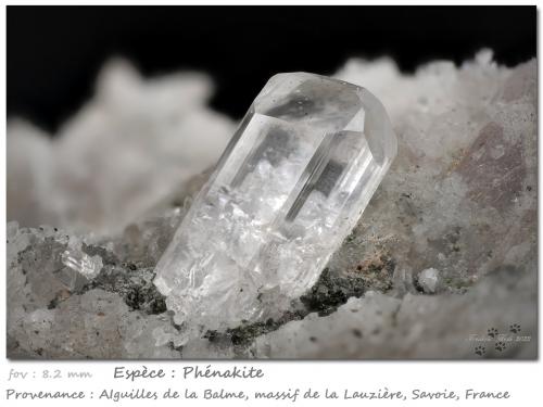 Phenakite<br />Vallon de la Valette, La Lauzière Massif, Saint-Jean-de-Maurienne, Savoie, Auvergne-Rhône-Alpes, France<br />fov 8.2 mm<br /> (Author: ploum)