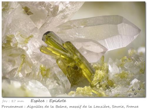 Epidote with Quartz<br />Vallon de la Valette, Macizo La Lauzière, Saint-Jean-de-Maurienne, Saboya, Auvergne-Rhône-Alpes, Francia<br />fov 8.7 mm<br /> (Author: ploum)
