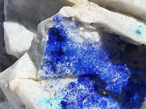 Azurite, Malachite, Dolomite<br />Ringenwechsel Mining District, Troi, District Schwaz, Inn Valley, North Tyrol, Tyrol/Tirol, Austria<br />9 x 7 cm<br /> (Author: Volkmar Stingl)
