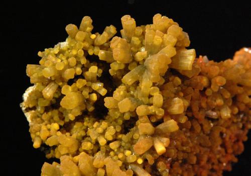 Pyromorphite<br /><br />4.8 × 3.9 × 2.2 cm<br /> (Author: Michael Shaw)