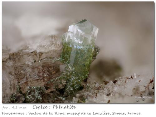 Phenakite<br />Vallon de la Rave, Macizo La Lauzière, Saint-Jean-de-Maurienne, Saboya, Auvergne-Rhône-Alpes, Francia<br />fov 4.1 mm<br /> (Author: ploum)