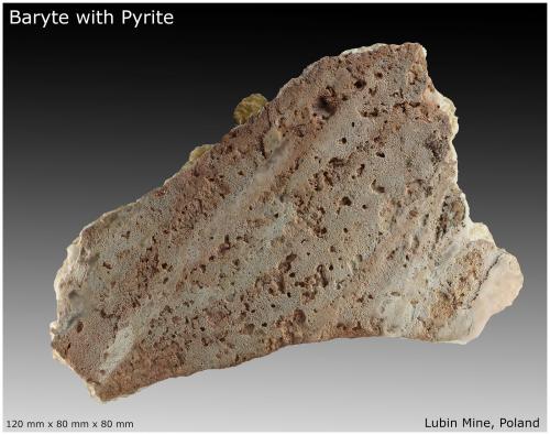 Baryte with Pyrite<br />Lubin Mine, Lubin, Lubin District, Legnica, Lower Silesia, Poland<br />120 mm x 80 mm x 80 mm<br /> (Author: silvia)