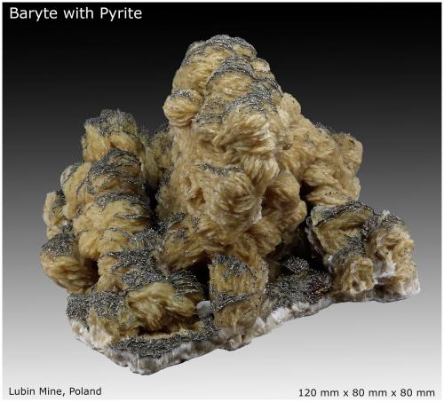 Baryte with Pyrite<br />Lubin Mine, Lubin, Lubin District, Legnica, Lower Silesia, Poland<br />120 mm x 80 mm x 80 mm<br /> (Author: silvia)