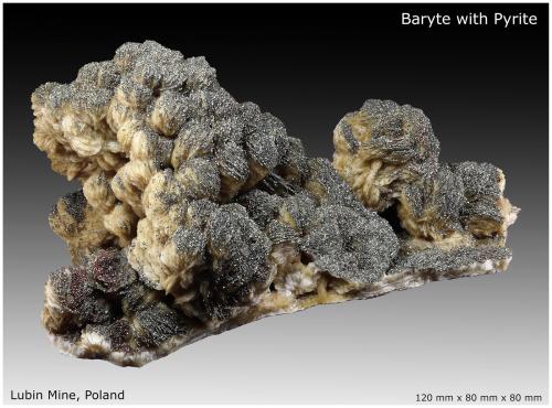 Baryte with Pyrite<br />Lubin Mine, Lubin, Lubin District, Legnica, Lower Silesia, Poland<br />120 mm x 80 mm x 80 mm<br /> (Author: silvia)